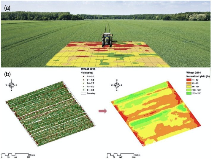 AI-enabled crop monitoring and yield prediction in agriculture